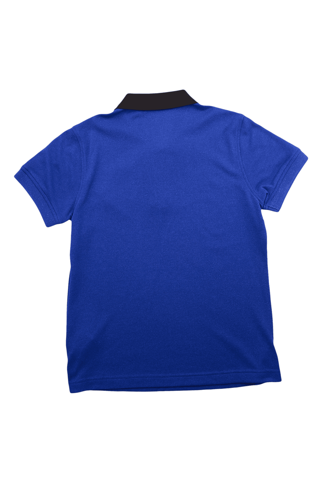 여성 스컬 와펜 반팔 폴로셔츠