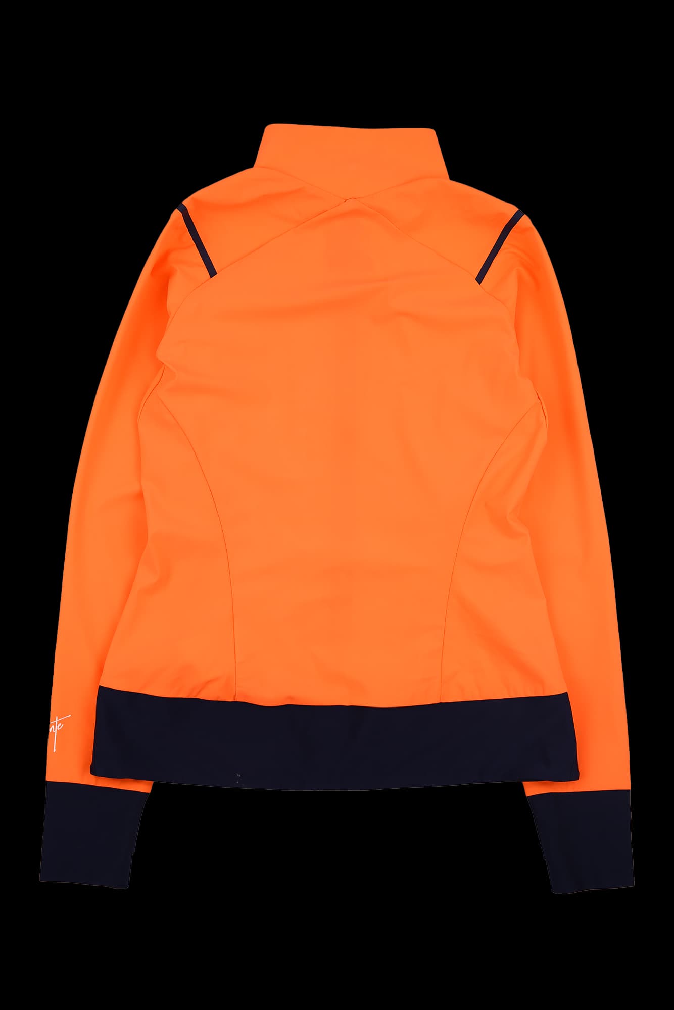 배색 형광 집업