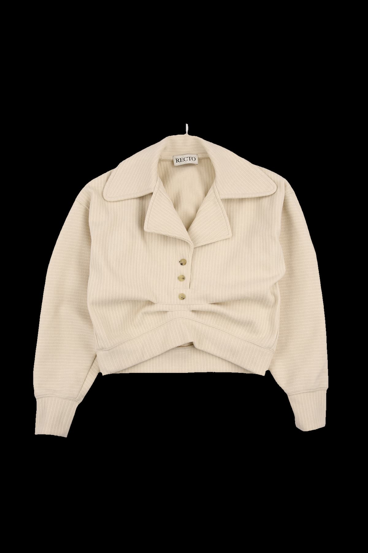 빅 카라 크롭 긴팔 