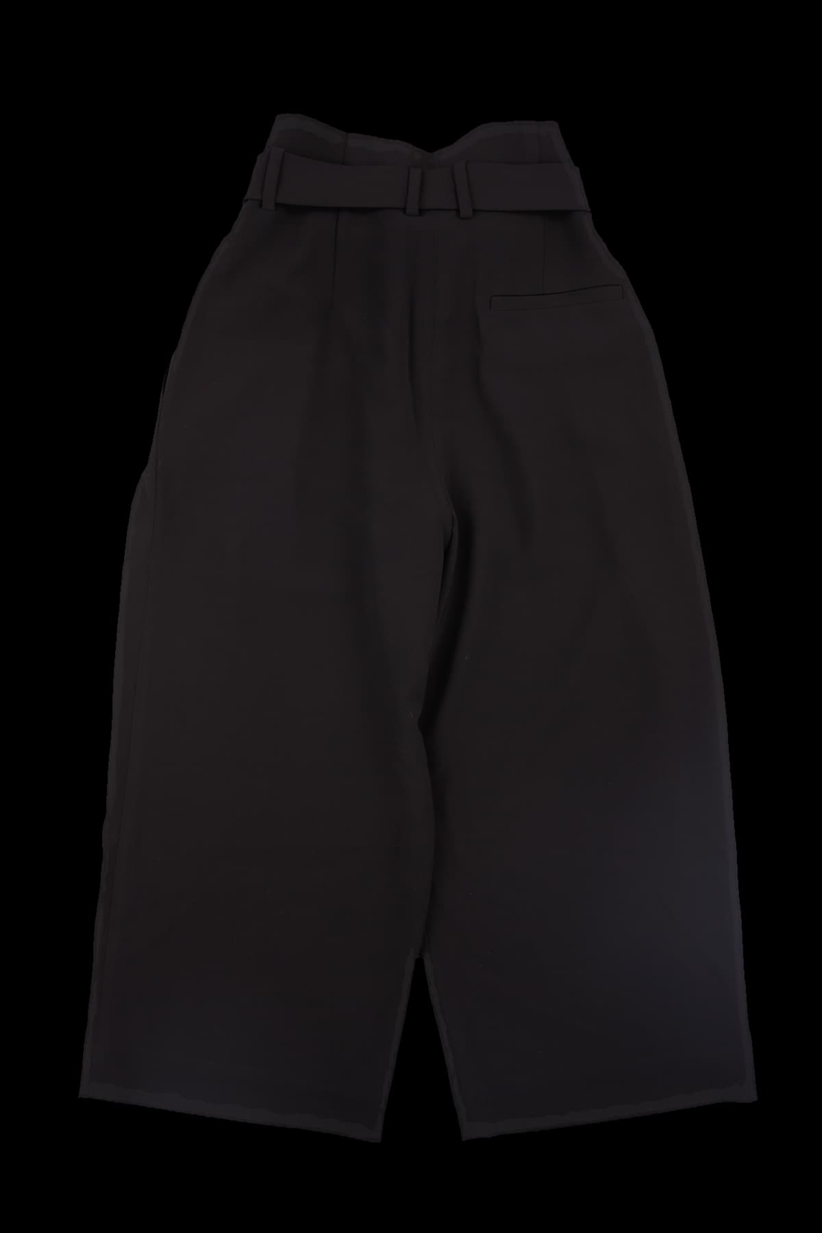 더블 핀턱 벌룬 와이드 슬랙스 