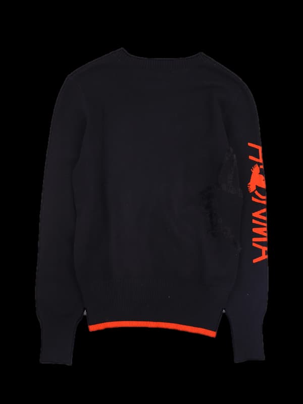 레이온 털포인트 긴팔니트