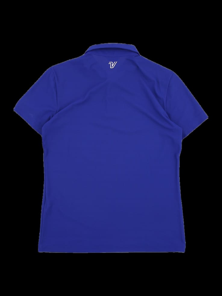 블루 스트라이프 포인트 반팔 카라 티셔츠